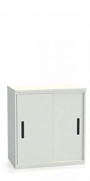 Шкаф-купе архивный ALS-8896