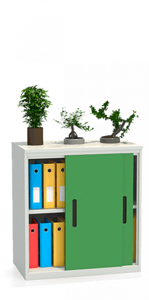 Шкаф-купе архивный ALS-8896